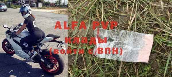 спиды Абаза