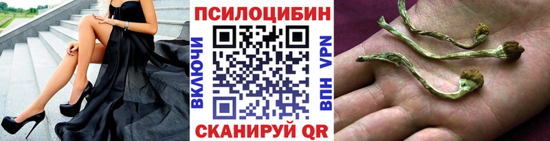 где продают Дивногорск Галлюциногенные грибы прущие грибы