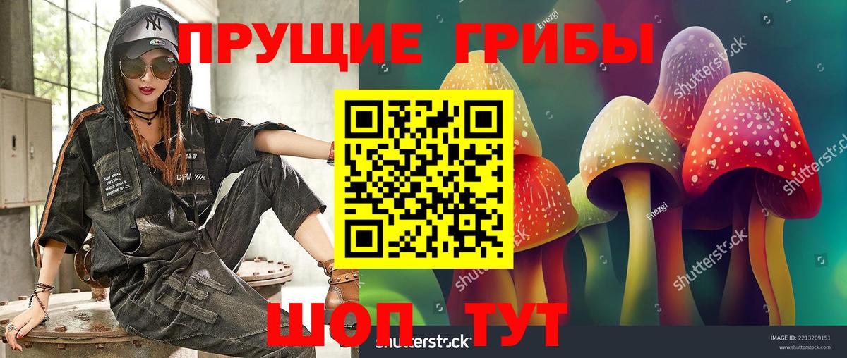 Дивногорск  Галлюциногенные грибы Magic Shrooms  Вход с VPN 