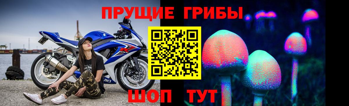Псилоцибиновые грибы мицелий Дивногорск